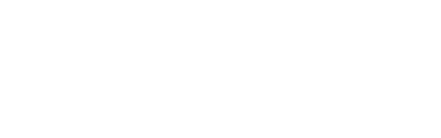Wornstar Clothing logo